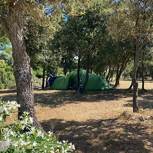 Camping Sugar Mandre